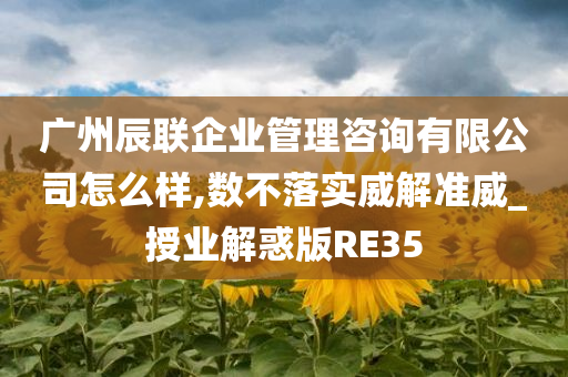 广州辰联企业管理咨询有限公司怎么样,数不落实威解准威_授业解惑版RE35