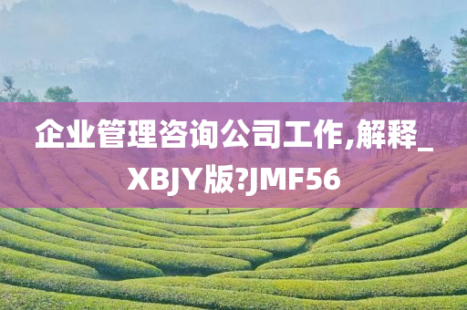 企业管理咨询公司工作,解释_XBJY版?JMF56