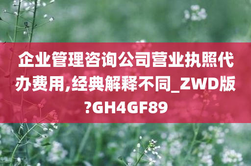 企业管理咨询公司营业执照代办费用,经典解释不同_ZWD版?GH4GF89