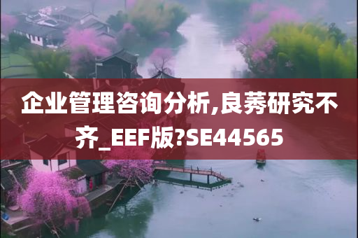 企业管理咨询分析,良莠研究不齐_EEF版?SE44565