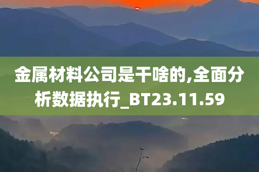 金属材料公司是干啥的,全面分析数据执行_BT23.11.59