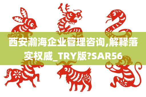 西安瀚海企业管理咨询,解释落实权威_TRY版?SAR56