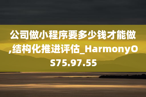 公司做小程序要多少钱才能做,结构化推进评估_HarmonyOS75.97.55