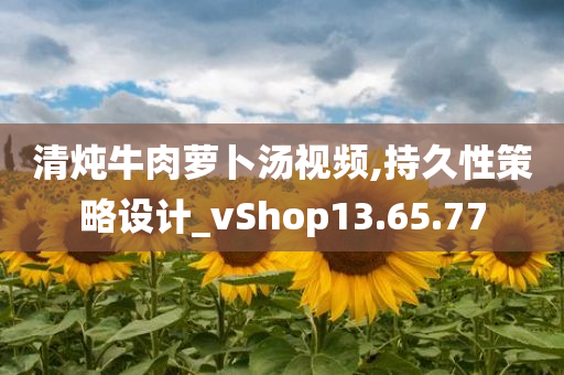 清炖牛肉萝卜汤视频,持久性策略设计_vShop13.65.77