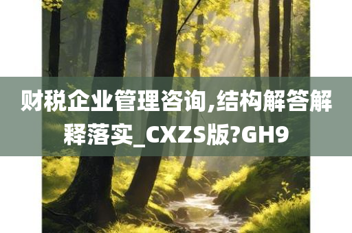 财税企业管理咨询,结构解答解释落实_CXZS版?GH9