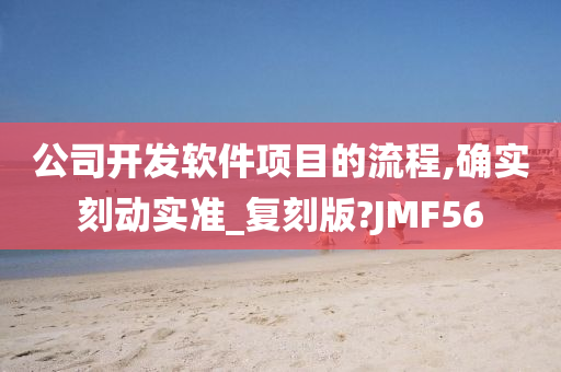 公司开发软件项目的流程,确实刻动实准_复刻版?JMF56