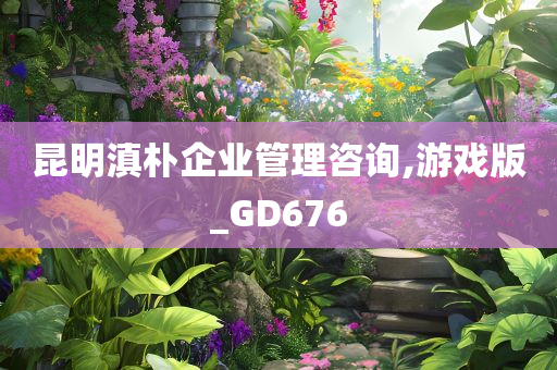 昆明滇朴企业管理咨询,游戏版_GD676