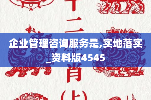 企业管理咨询服务是,实地落实_资料版4545