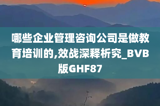 哪些企业管理咨询公司是做教育培训的,效战深释析究_BVB版GHF87