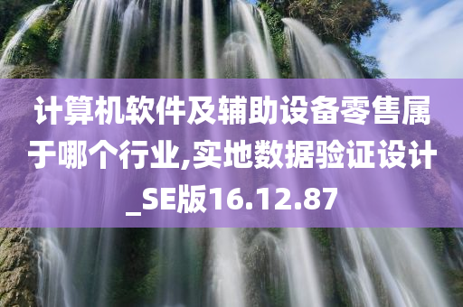 计算机软件及辅助设备零售属于哪个行业,实地数据验证设计_SE版16.12.87