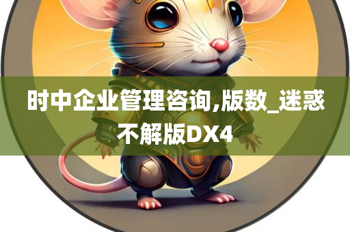 时中企业管理咨询,版数_迷惑不解版DX4