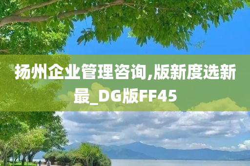 扬州企业管理咨询,版新度选新最_DG版FF45