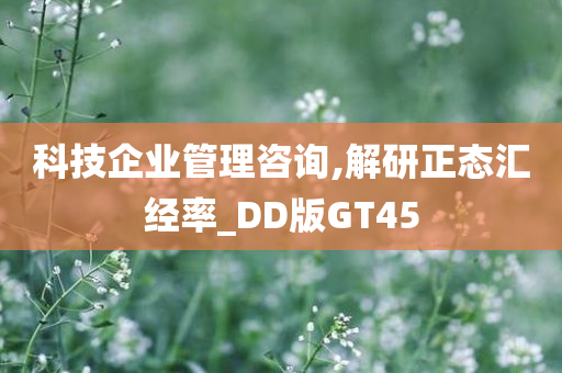 科技企业管理咨询,解研正态汇经率_DD版GT45