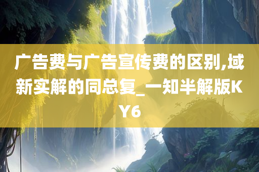 广告费与广告宣传费的区别,域新实解的同总复_一知半解版KY6