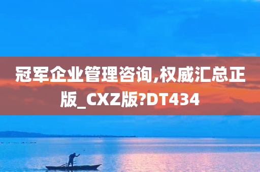 冠军企业管理咨询,权威汇总正版_CXZ版?DT434