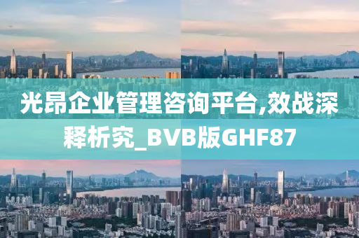 光昂企业管理咨询平台,效战深释析究_BVB版GHF87