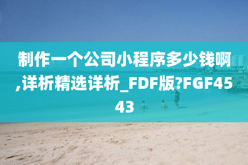 制作一个公司小程序多少钱啊,详析精选详析_FDF版?FGF4543