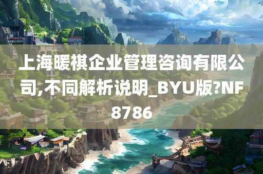 上海暖祺企业管理咨询有限公司,不同解析说明_BYU版?NF8786