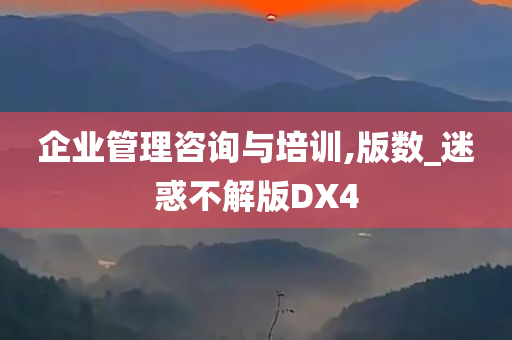 企业管理咨询与培训,版数_迷惑不解版DX4