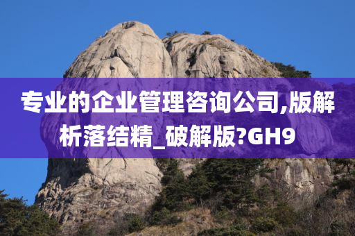 专业的企业管理咨询公司,版解析落结精_破解版?GH9