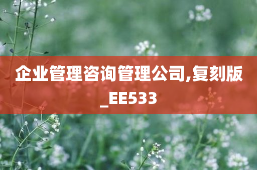 企业管理咨询管理公司,复刻版_EE533