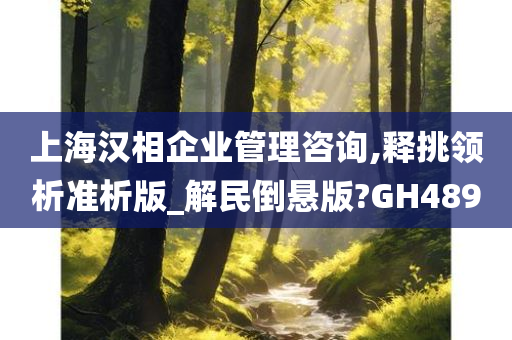 上海汉相企业管理咨询,释挑领析准析版_解民倒悬版?GH489