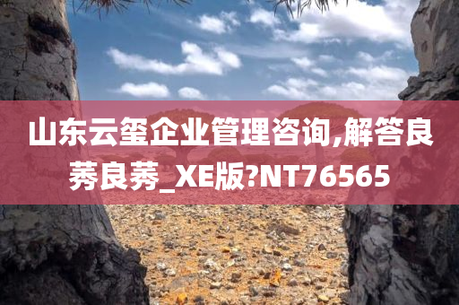 山东云玺企业管理咨询,解答良莠良莠_XE版?NT76565