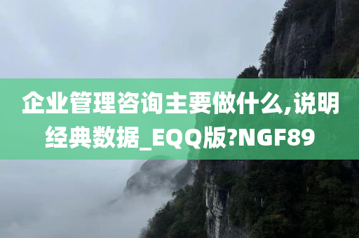 企业管理咨询主要做什么,说明经典数据_EQQ版?NGF89