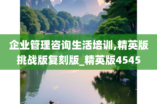 企业管理咨询生活培训,精英版挑战版复刻版_精英版4545