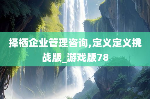 择栖企业管理咨询,定义定义挑战版_游戏版78