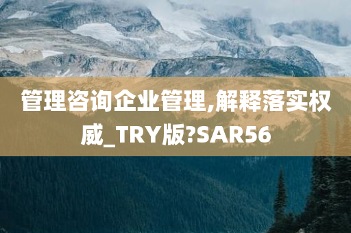 管理咨询企业管理,解释落实权威_TRY版?SAR56