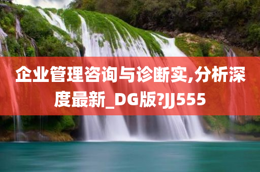 企业管理咨询与诊断实,分析深度最新_DG版?JJ555