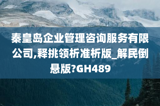 秦皇岛企业管理咨询服务有限公司,释挑领析准析版_解民倒悬版?GH489