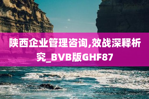 陕西企业管理咨询,效战深释析究_BVB版GHF87