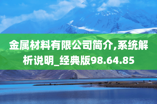 金属材料有限公司简介,系统解析说明_经典版98.64.85