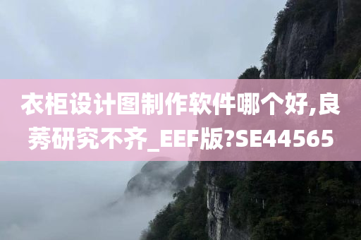 衣柜设计图制作软件哪个好,良莠研究不齐_EEF版?SE44565