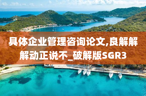 具体企业管理咨询论文,良解解解动正说不_破解版SGR3