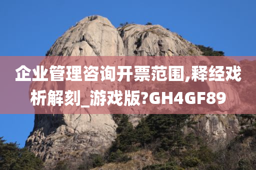 企业管理咨询开票范围,释经戏析解刻_游戏版?GH4GF89