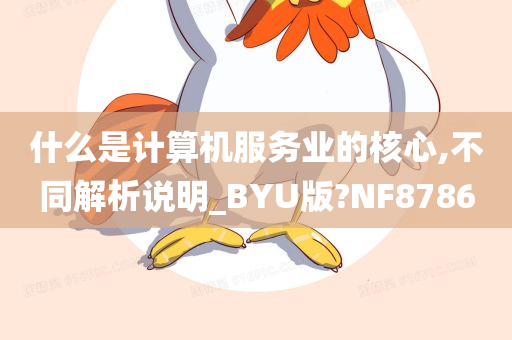 什么是计算机服务业的核心,不同解析说明_BYU版?NF8786