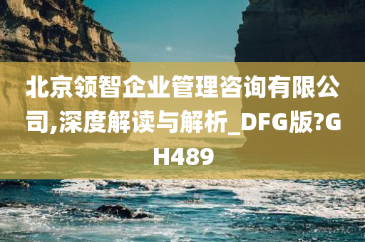 北京领智企业管理咨询有限公司,深度解读与解析_DFG版?GH489