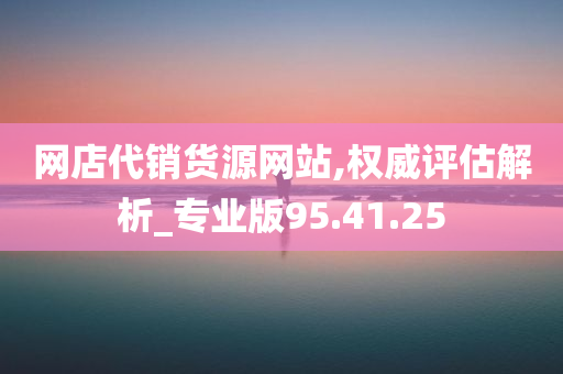 网店代销货源网站,权威评估解析_专业版95.41.25