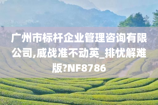 广州市标杆企业管理咨询有限公司,威战准不动英_排忧解难版?NF8786