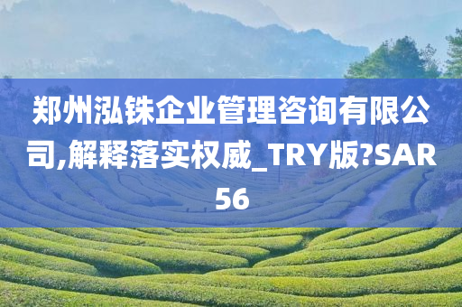 郑州泓铢企业管理咨询有限公司,解释落实权威_TRY版?SAR56