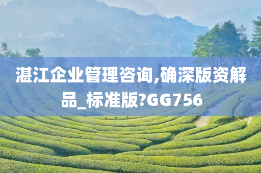 湛江企业管理咨询,确深版资解品_标准版?GG756