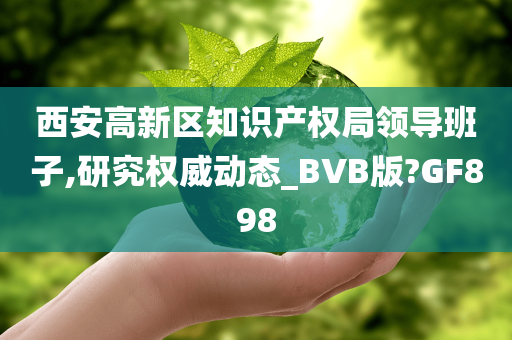 西安高新区知识产权局领导班子,研究权威动态_BVB版?GF898