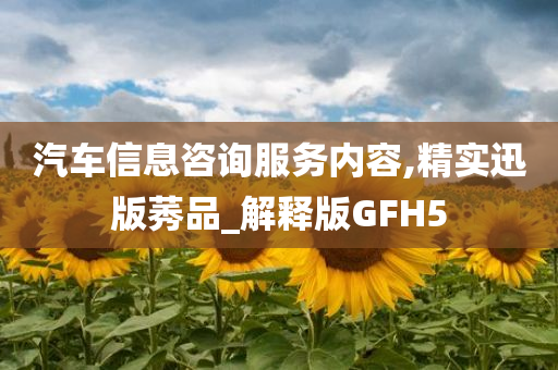 汽车信息咨询服务内容,精实迅版莠品_解释版GFH5