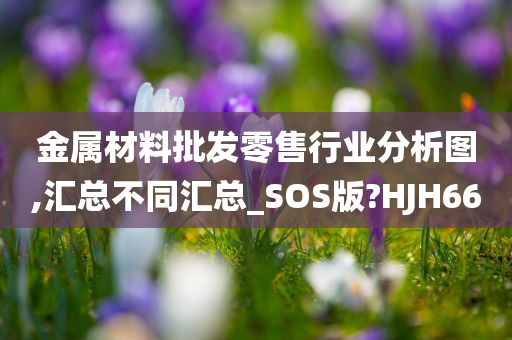 金属材料批发零售行业分析图,汇总不同汇总_SOS版?HJH66