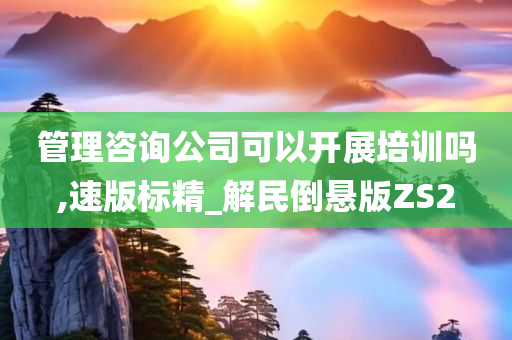 管理咨询公司可以开展培训吗,速版标精_解民倒悬版ZS2