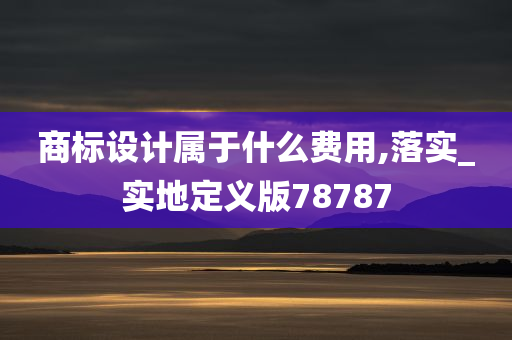 商标设计属于什么费用,落实_实地定义版78787