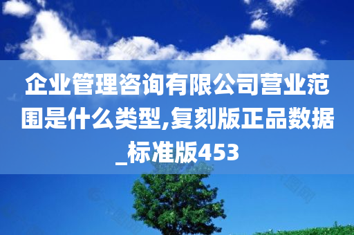 企业管理咨询有限公司营业范围是什么类型,复刻版正品数据_标准版453